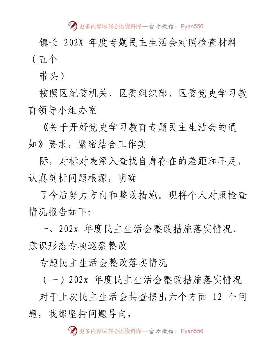 [对照检查材料] 202X年度专题民主生活会 - 镇长年度整改措施及工作总结.docx_第1页