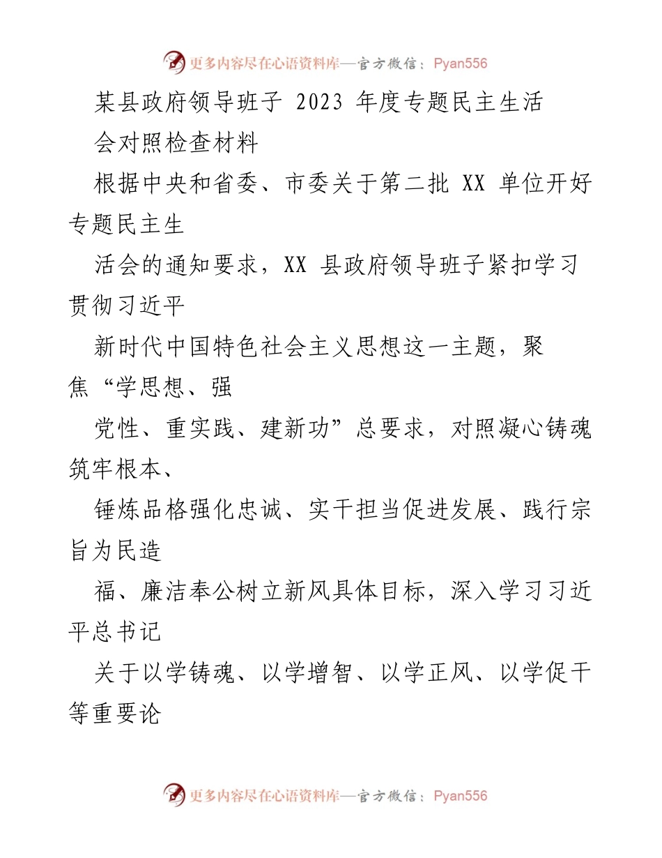 [对照检查材料] 专题民主生活会 - 2023年度县政府领导班子对照检查报告.docx_第1页