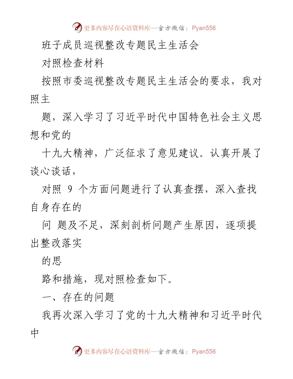 [对照检查材料] 会议 - 班子成员巡视整改专题民主生活会对照检查报告.docx_第1页