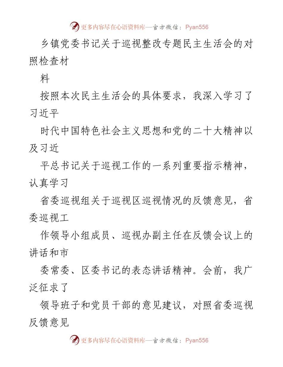 [对照检查报告] 乡镇党委书记 - 巡视整改专题民主生活会对照检查情况报告.docx_第1页
