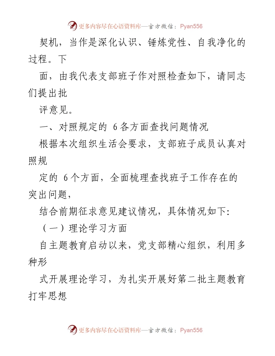 [对照检查材料] 党支部班子 - 第二批主题教育专题组织生活会对照检查报告.docx_第2页