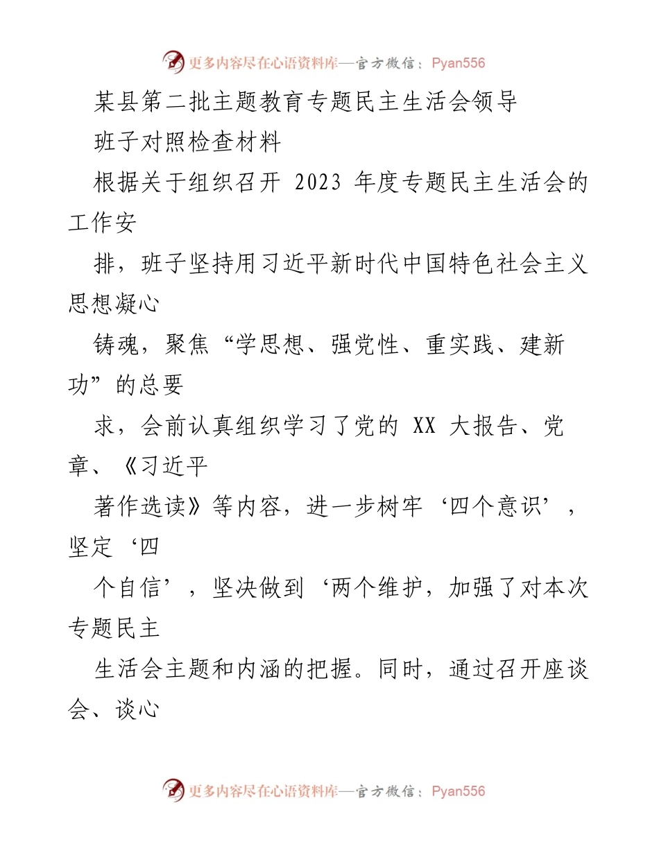 [对照检查材料] 主题教育专题民主生活会 - 领导班子对照检查与整改措施分析.docx_第1页