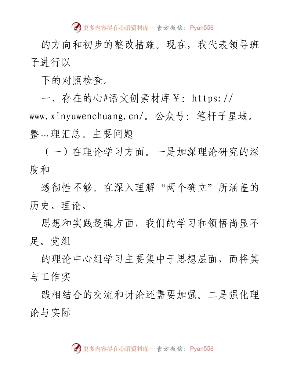[对照检查材料] 主题教育民主生活会 - 班子对照检查与问题剖析报告.docx_第2页