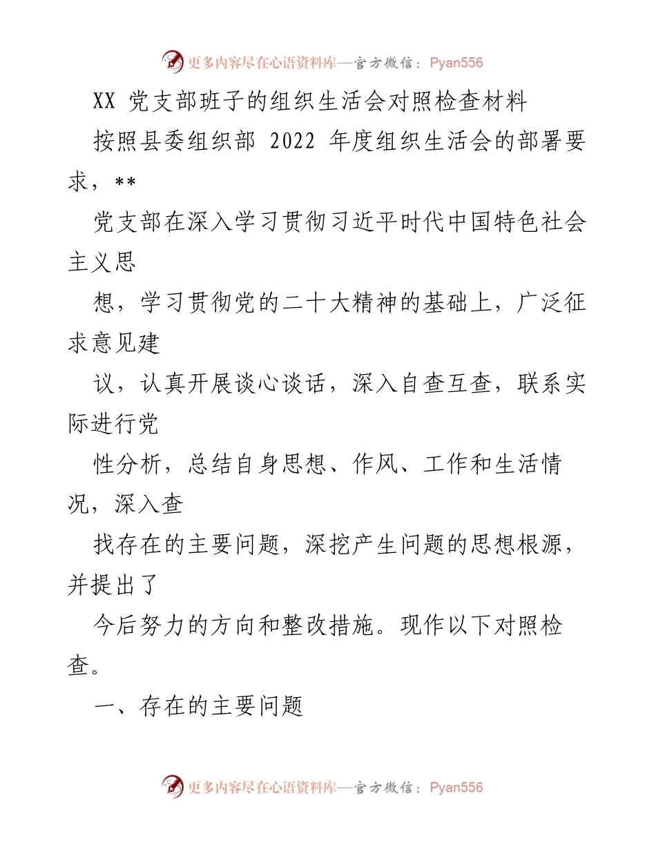 [对照检查材料] 党支部组织生活会 - XX党支部班子对照检查与整改措施总结.docx_第1页