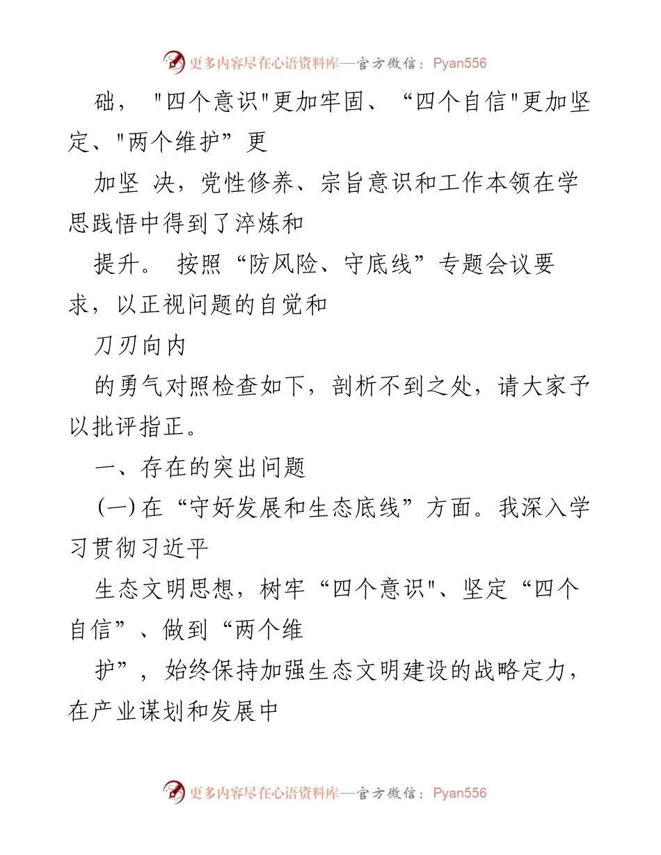 [对照检查剖析材料] 专题民主生活会 - _防风险、守底线_专题民主生活会对照检查与剖析报告.docx_第2页