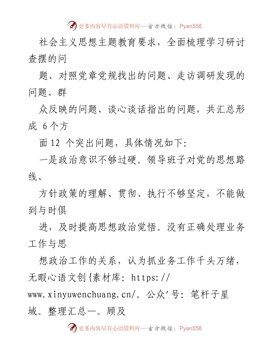 [对照检查] 主题教育 - 2023年主题教育班子对照检查问题清单分析.docx_第2页