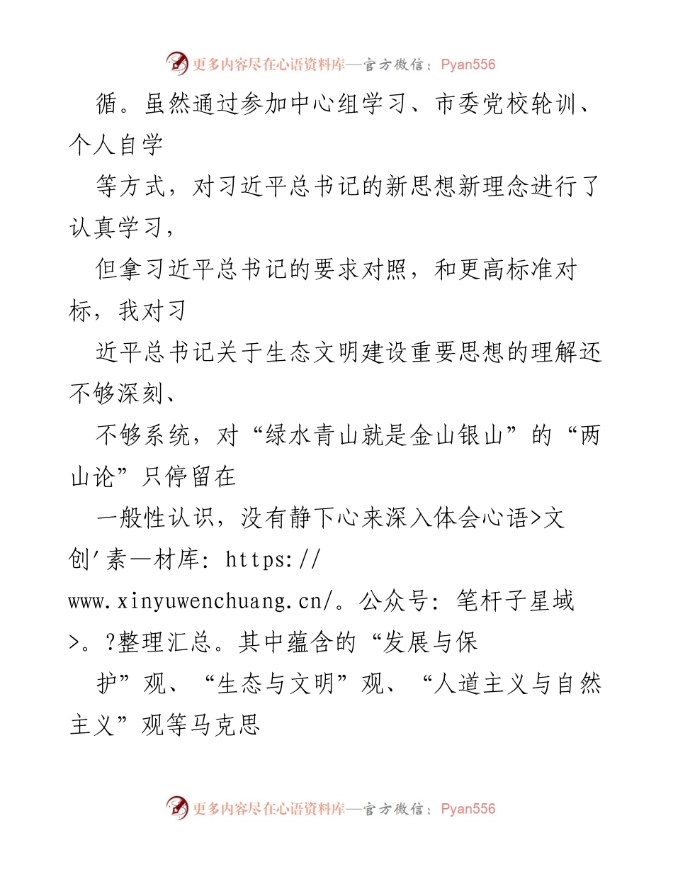 [对照检查材料] 生态环境保护专题民主生活会 - 深化生态文明理念，提升环保工作执行力.docx_第2页
