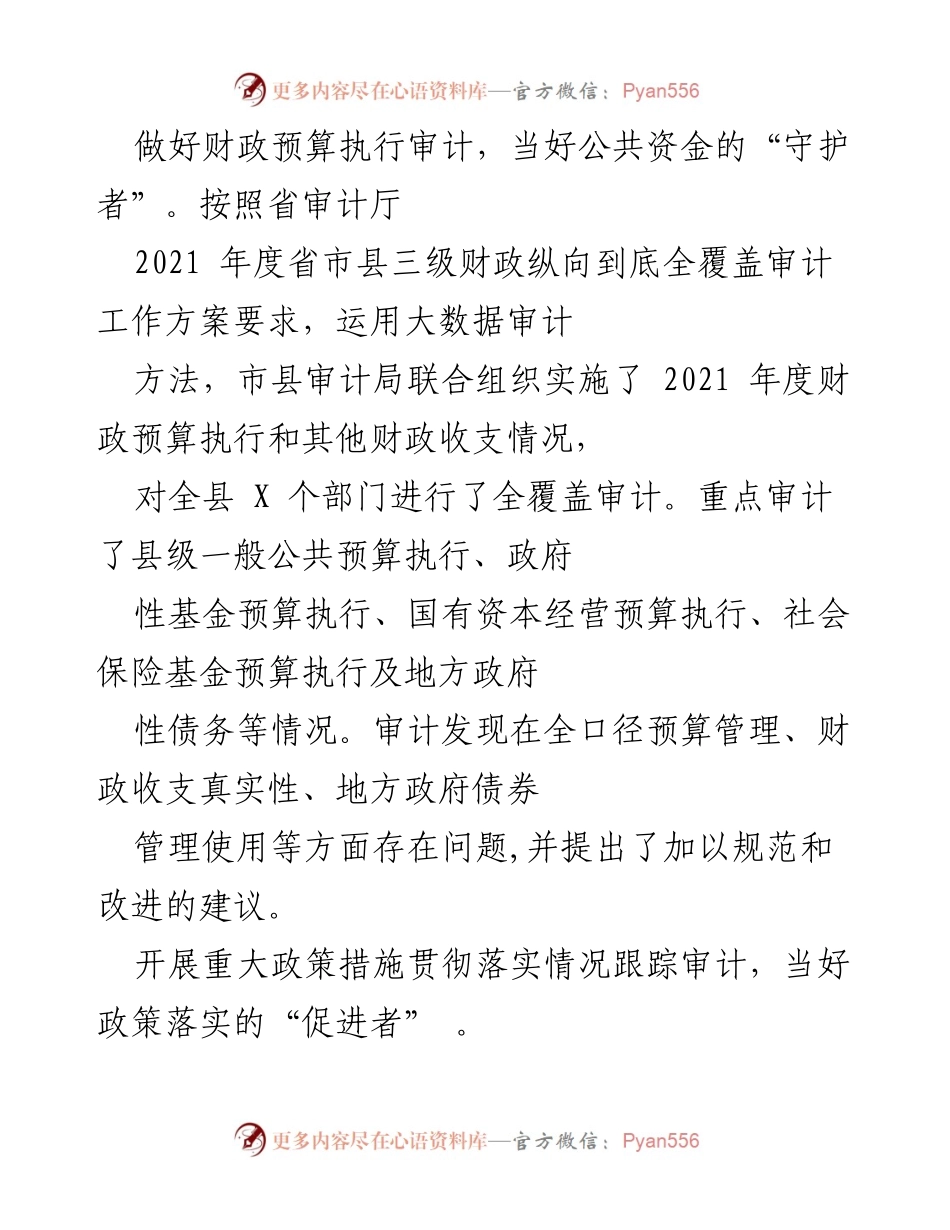 [审计报告] 2021年度财政审计 - 加强财政预算执行审计，守护公共资金安全.docx_第1页