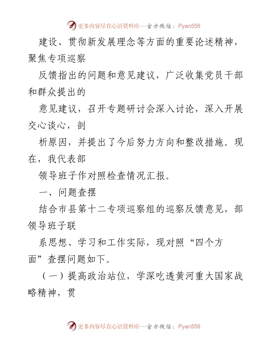 [对照检查材料] 专题民主生活会 - 生态保护与高质量发展的整改落实检视.docx_第2页
