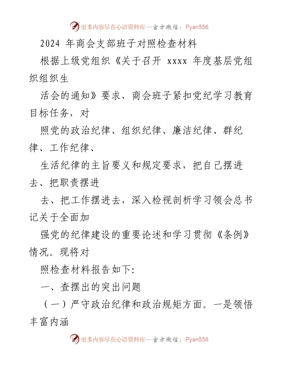 [对照检查材料] 商会支部年度组织生活会 - 2024年商会支部班子对照检查与问题分析报告.docx_第1页
