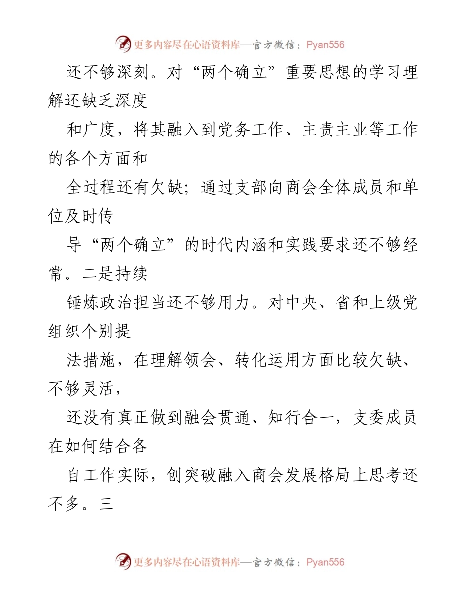 [对照检查材料] 商会支部年度组织生活会 - 2024年商会支部班子对照检查与问题分析报告.docx_第2页
