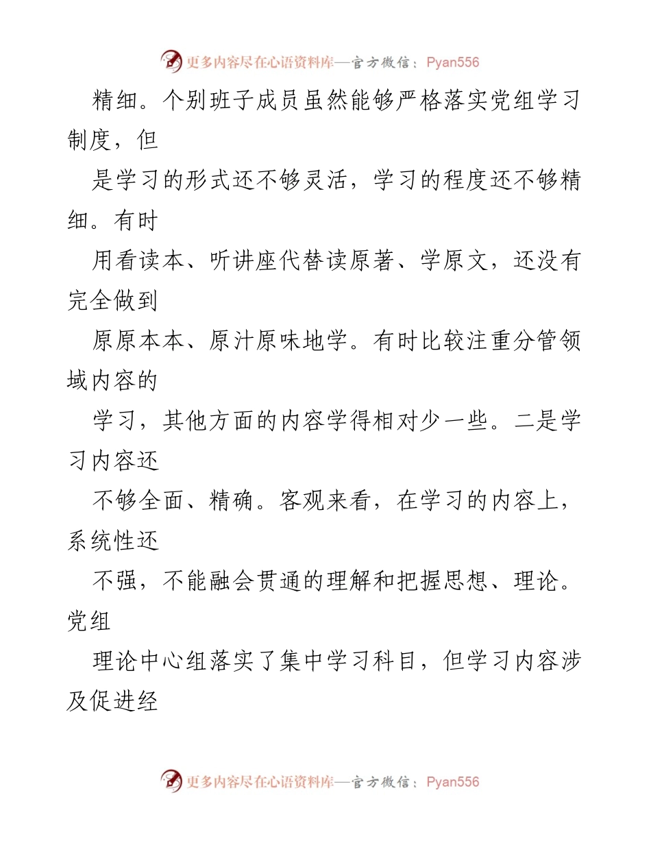 [对照检查] 主题教育民主生活会 - 市政府办室党组主题教育对照检查材料.docx_第2页