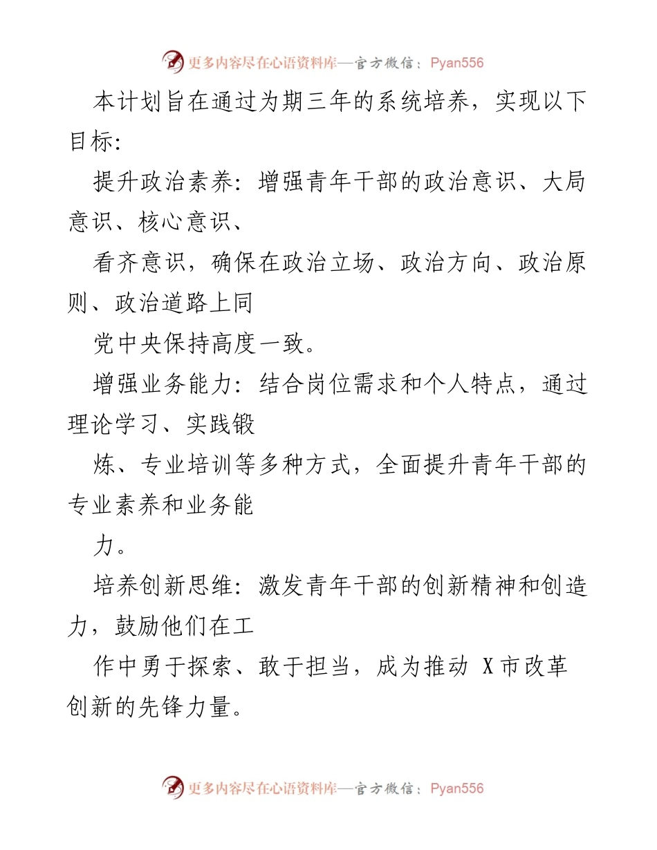 [实施方案] 青年干部培养计划 - X市青年干部培养计划实施方案.docx_第2页