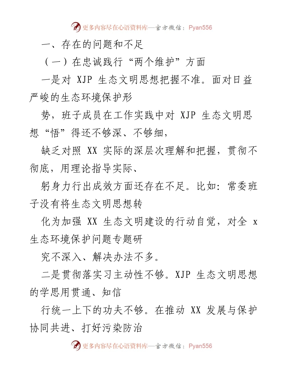 [对照检查材料] 生态环境保护督察整改专题民主生活会 - 深化生态文明思想落实，推动环境保护整改措施.docx_第2页