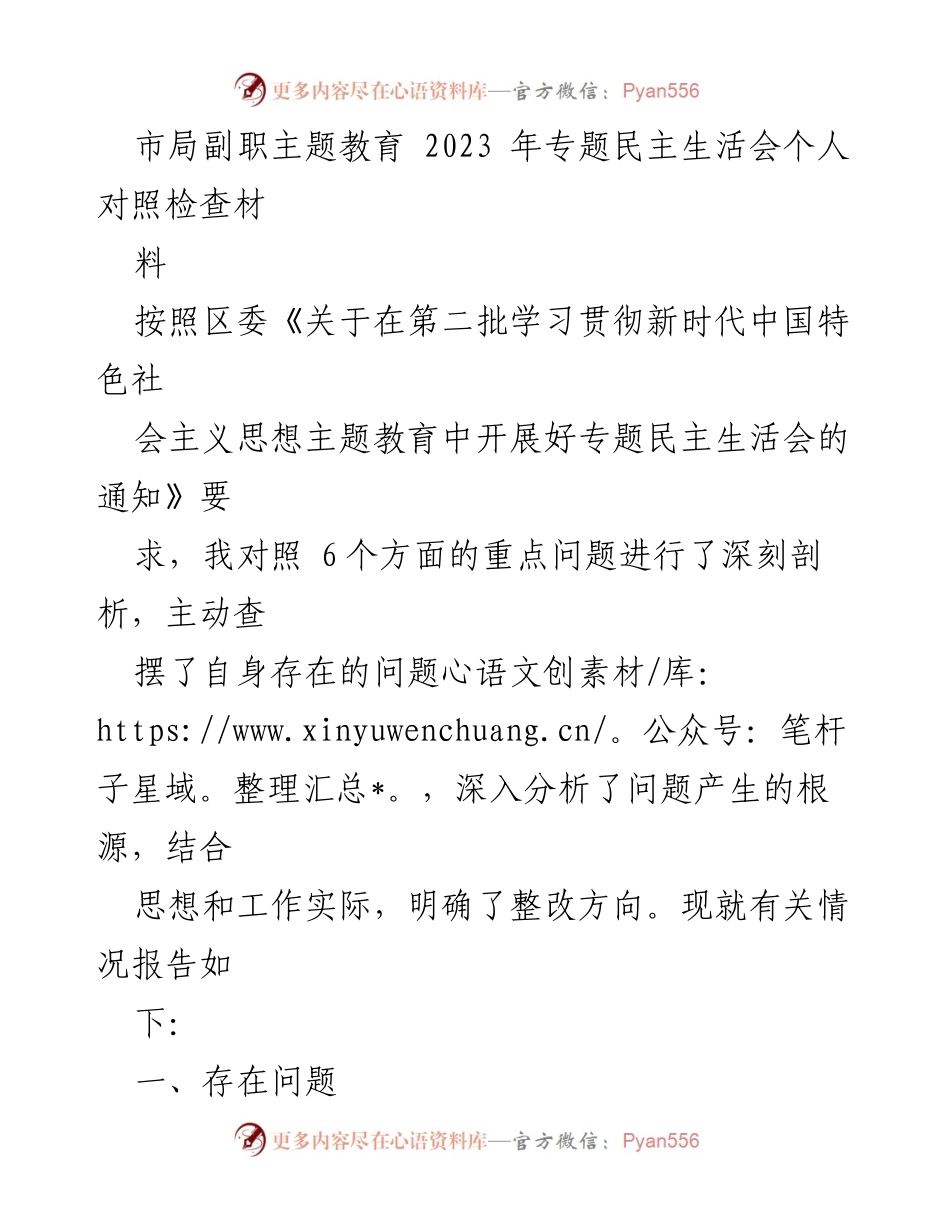 [对照检查报告] 市局副职主题教育专题民主生活会 - 深刻剖析与整改方向探讨.docx_第1页