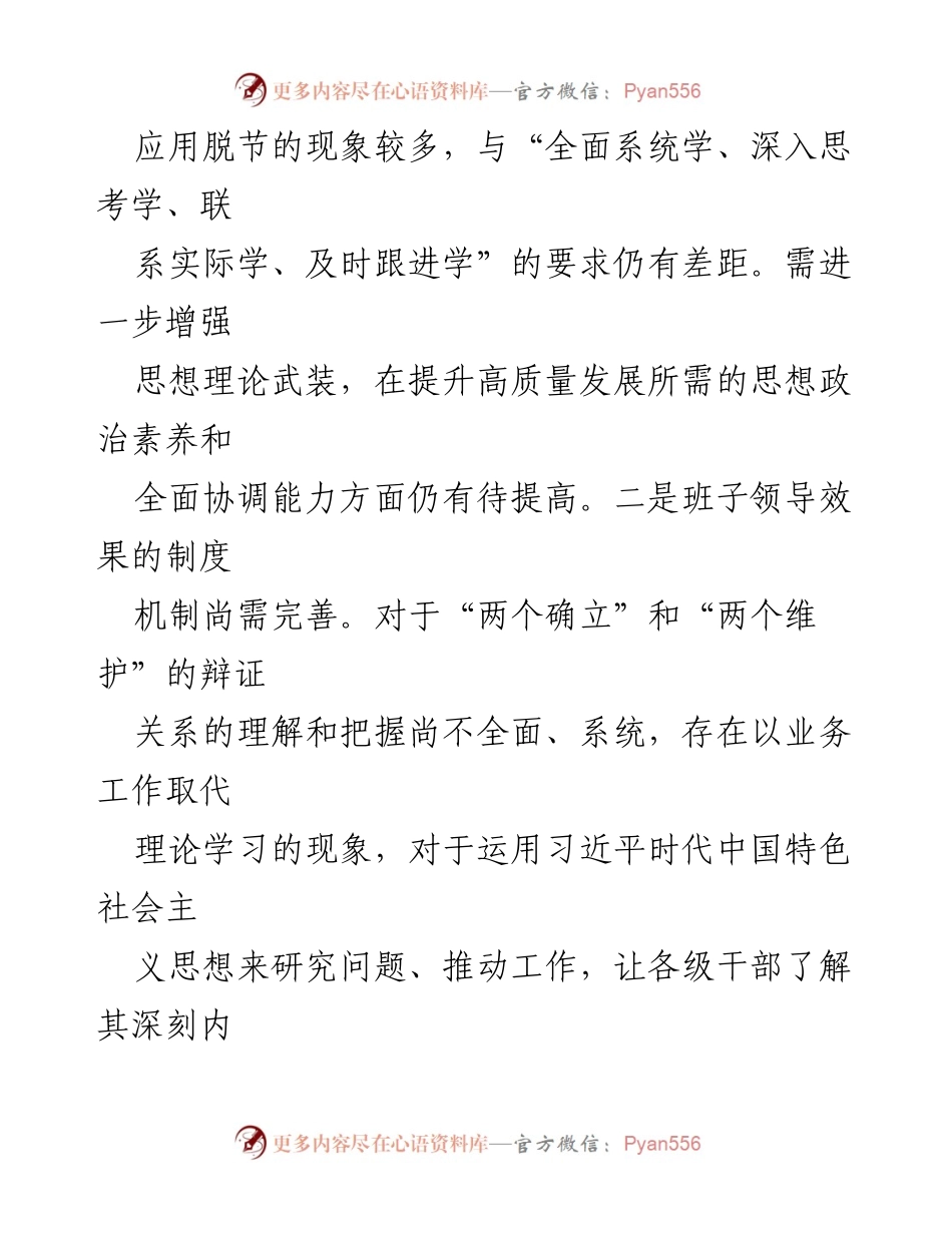 [对照自查报告] 主题教育专题民主生活会 - 市局领导班子2023年主题教育自查报告.docx_第2页