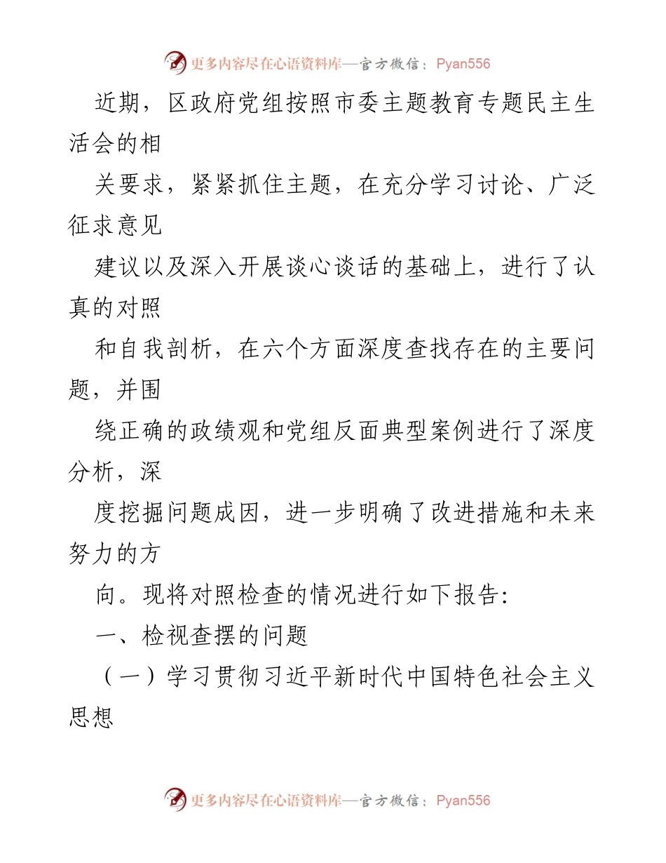 [对照检查材料] 政府党组班子主题教育专题民主生活会 - 深入检视问题，提升政治能力与理论应用.docx_第2页