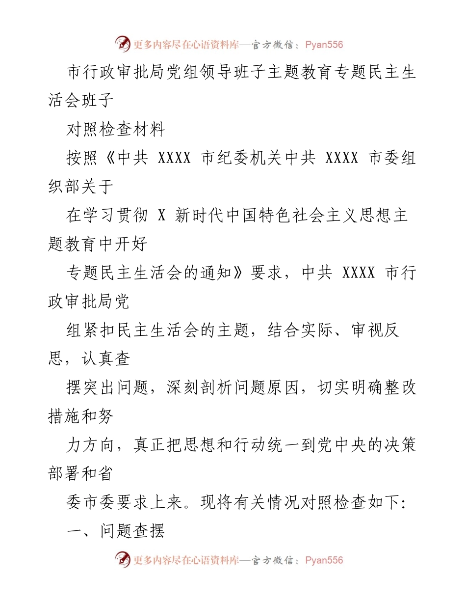 [对照检查材料] 主题教育专题民主生活会 - 市行政审批局党组领导班子问题查摆与整改措施分析.docx_第1页
