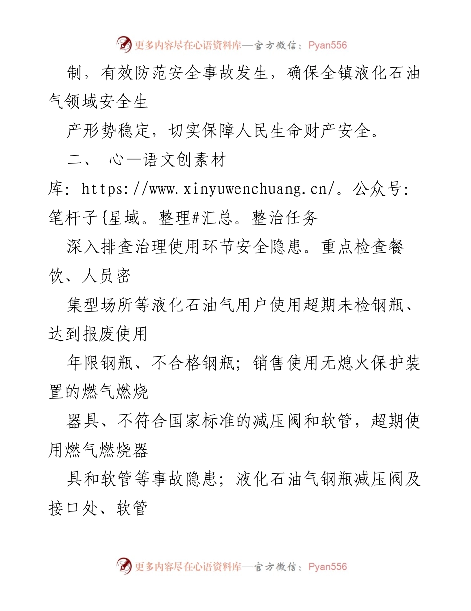 [实施方案] 安全隐患排查 - XX镇液化石油气领域安全隐患专项整治方案.docx_第2页