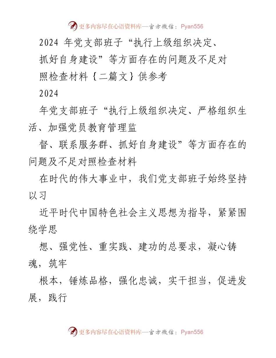 [对照检查材料] 党支部工作总结 - 2024年党支部班子问题及整改措施对照检查报告.docx_第1页