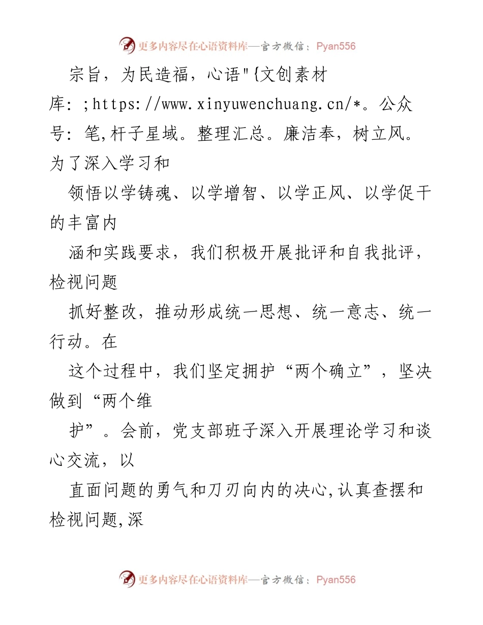 [对照检查材料] 党支部工作总结 - 2024年党支部班子问题及整改措施对照检查报告.docx_第2页