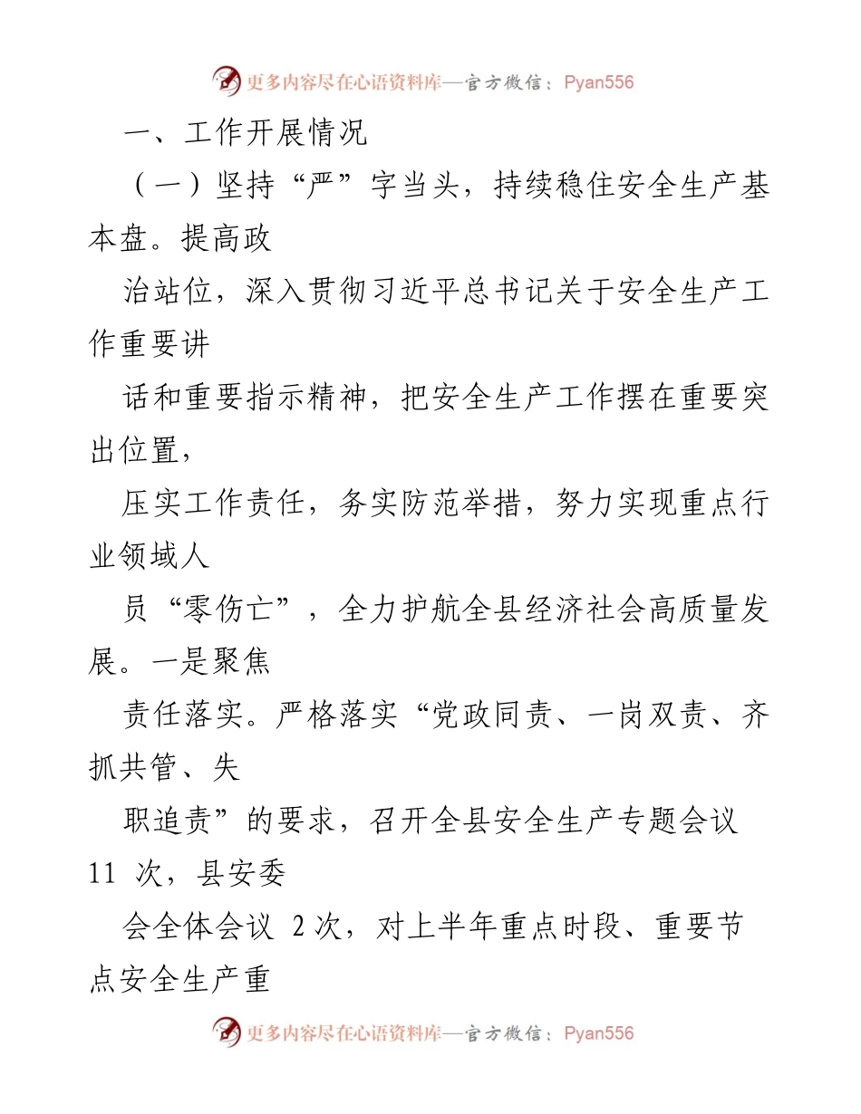 [工作总结] 2023年上半年 - 某县应急管理局安全生产工作总结.docx_第2页