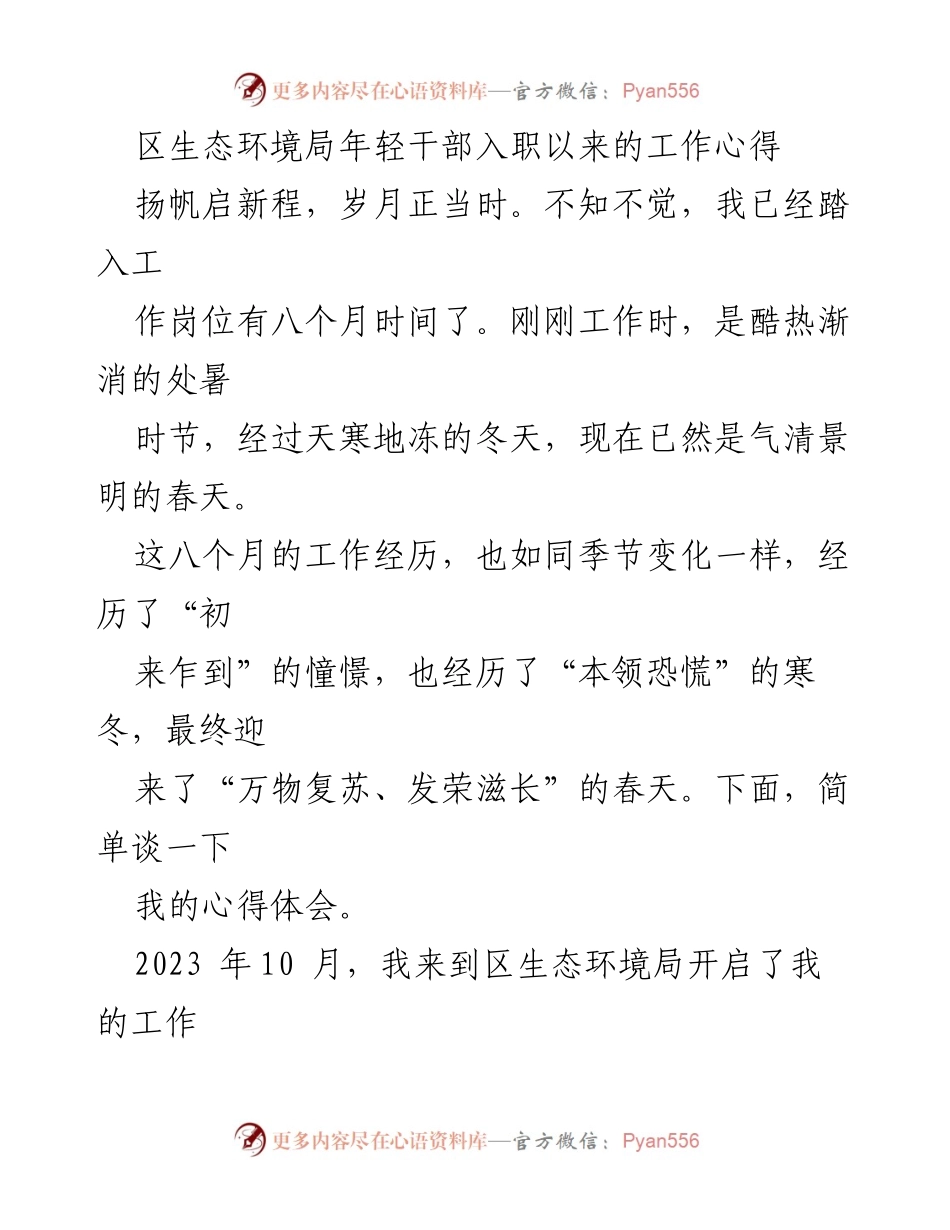 [工作心得] 生态环境局 - 青年干部成长之路：责任、学习与实践.docx_第1页