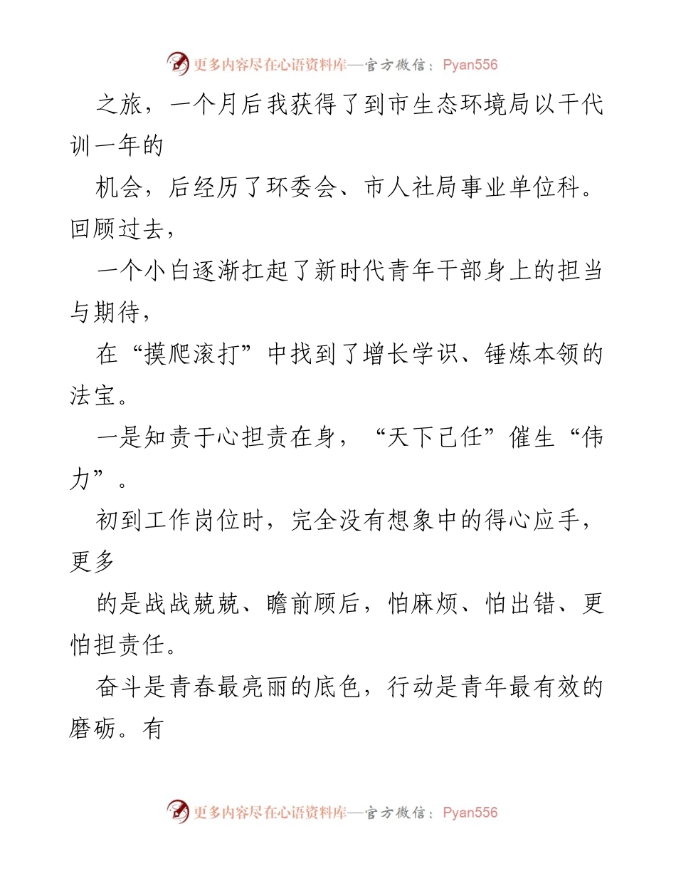 [工作心得] 生态环境局 - 青年干部成长之路：责任、学习与实践.docx_第2页