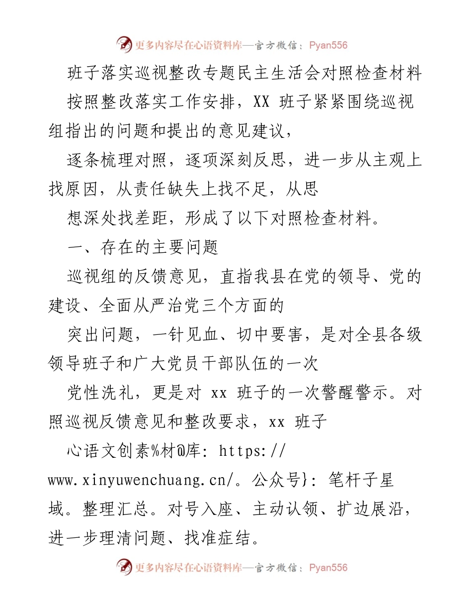 [对照检查材料] 专题民主生活会 - 班子巡视整改对照检查报告.docx_第1页