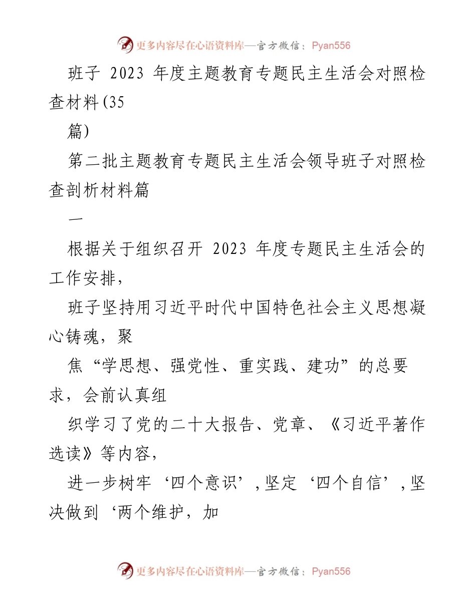 [对照检查材料] 2023年度专题民主生活会 - 班子对照检查与整改措施分析.docx_第1页
