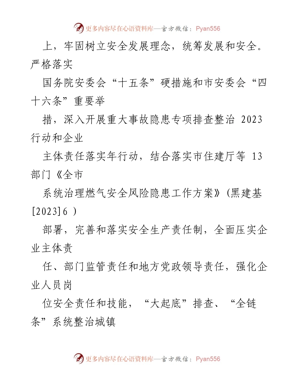 [实施方案] 城镇燃气安全整治 - 全市城镇燃气安全专项整治实施方案.docx_第2页