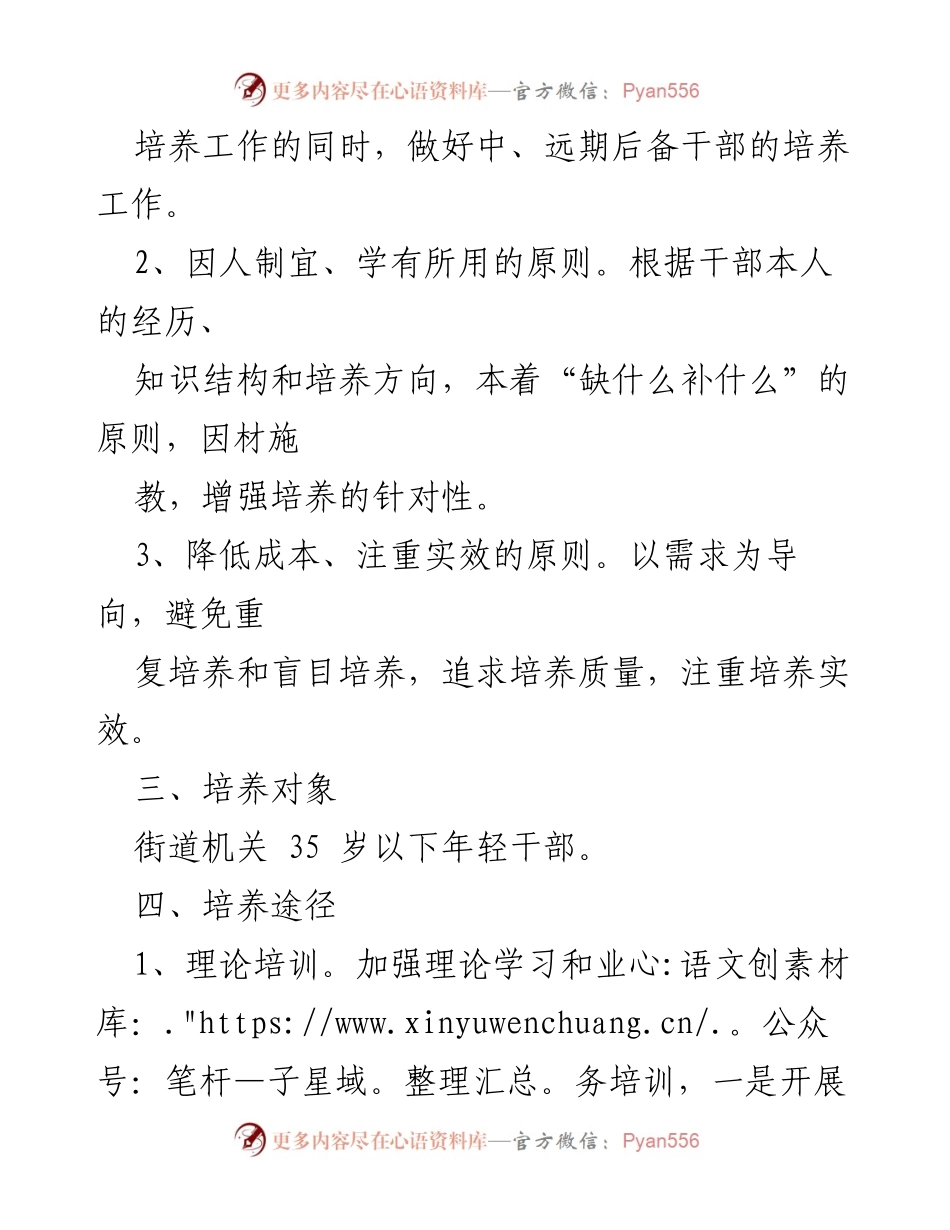 [实施方案] 年轻干部培养 - 年轻干部培养实施方案.docx_第2页