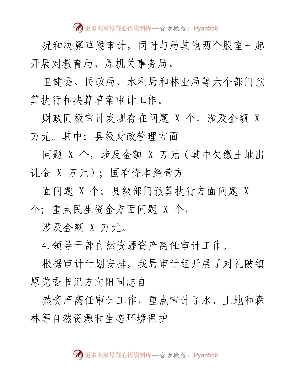 [审计报告] 审计工作总结 - 全县经济责任与财政预算审计工作总结.docx_第2页