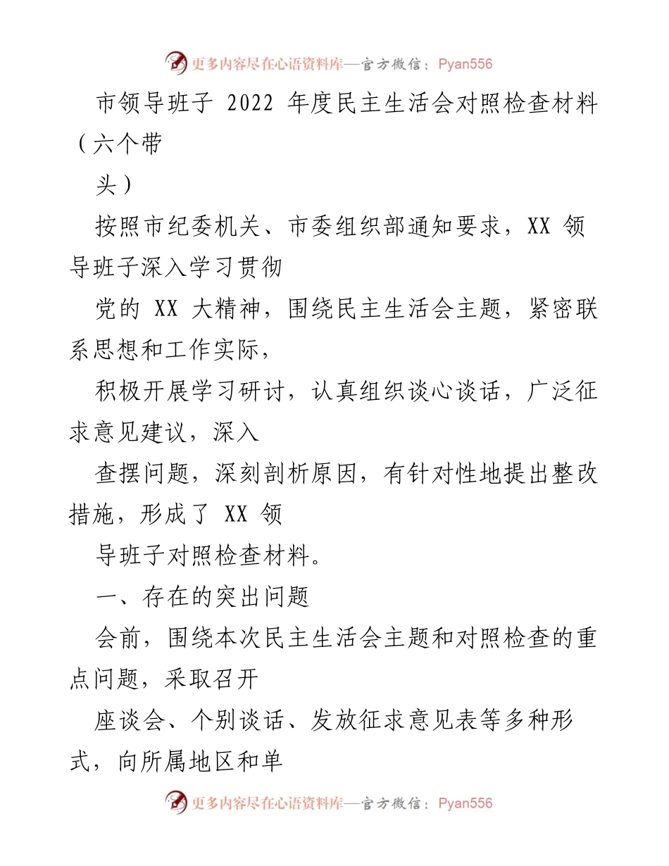 [对照检查材料] 市领导班子年度民主生活会 - 2022年度民主生活会对照检查材料总结.docx_第1页