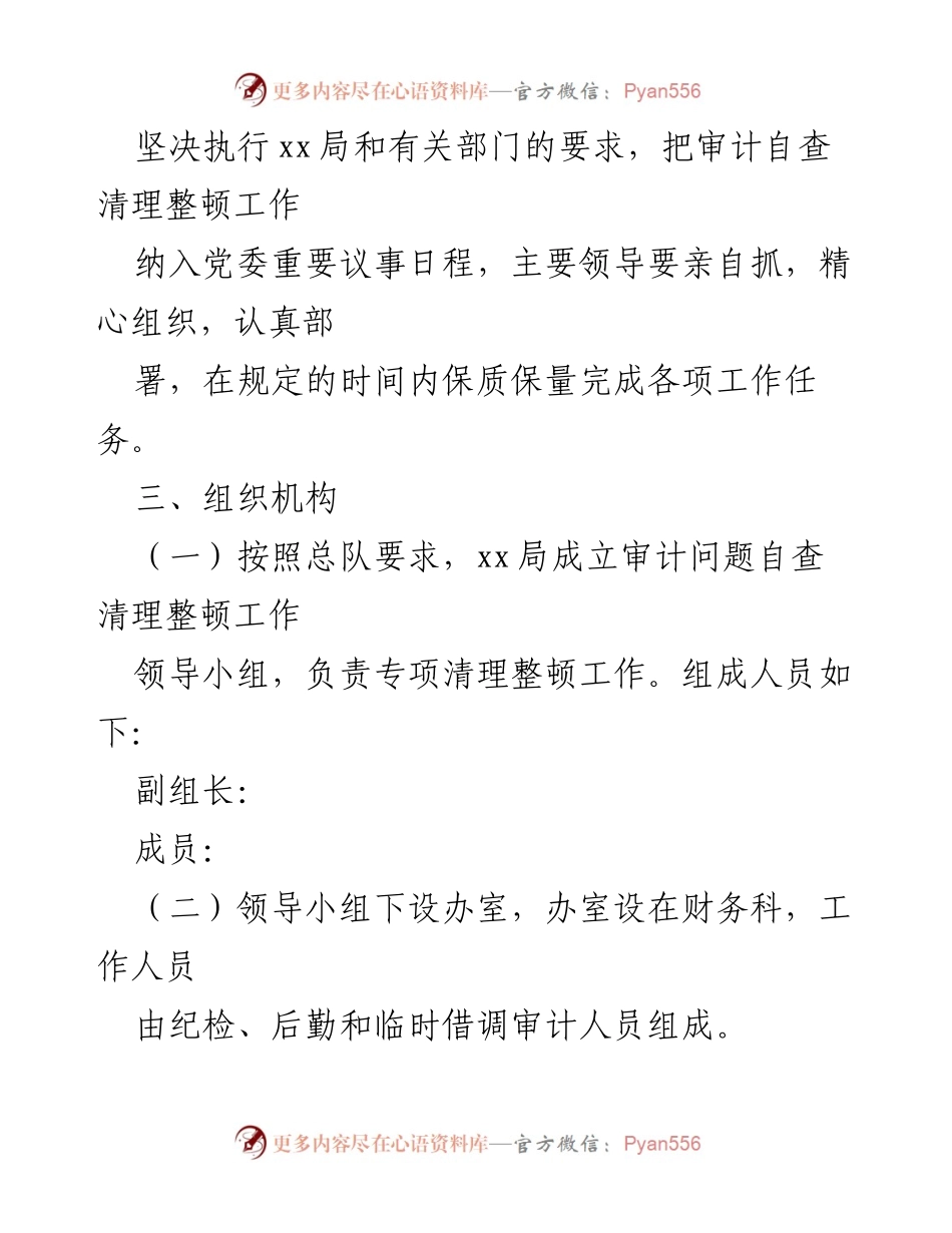 [实施方案] 审计工作 - 审计问题自查清理整顿工作实施方案.docx_第2页