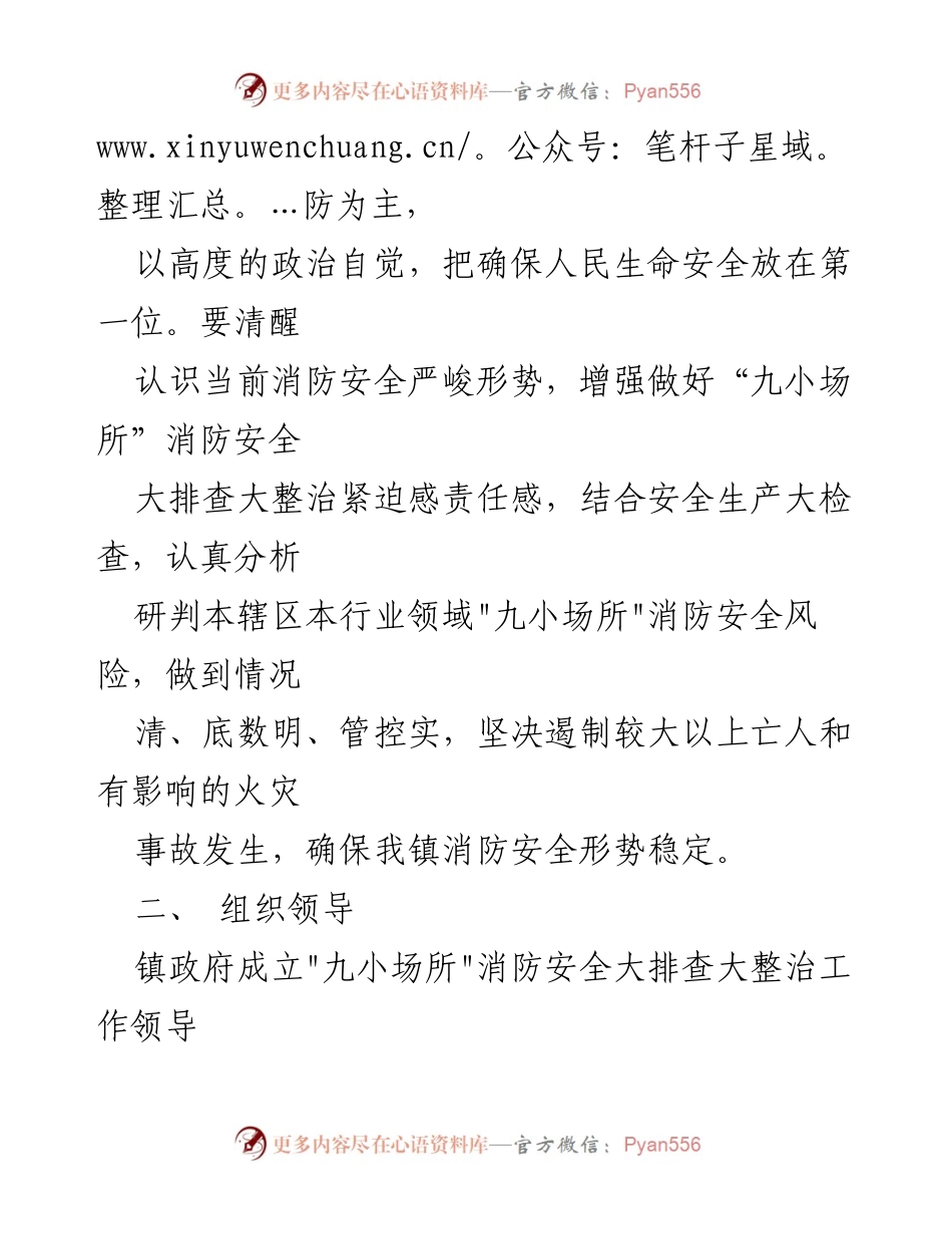[实施方案] 消防安全工作 - XX镇“九小场所”消防安全大排查大整治实施方案.docx_第2页