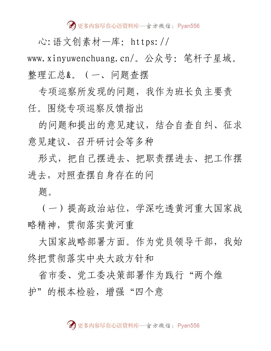 [对照检查材料] 专题民主生活会 - 深入查摆黄河流域生态保护整改问题.docx_第2页
