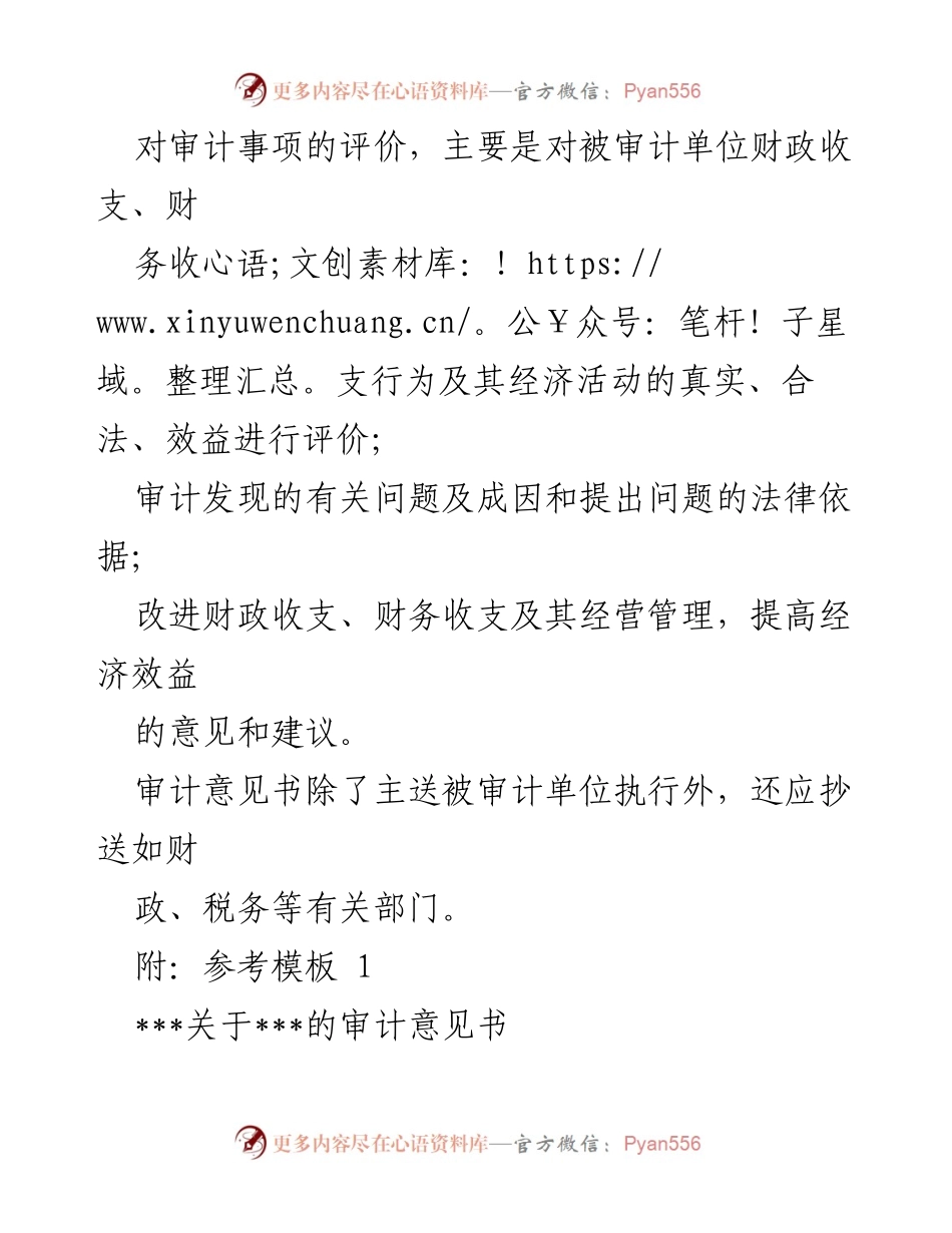 [审计意见书] 审计工作 - 审计意见书撰写指南.docx_第2页