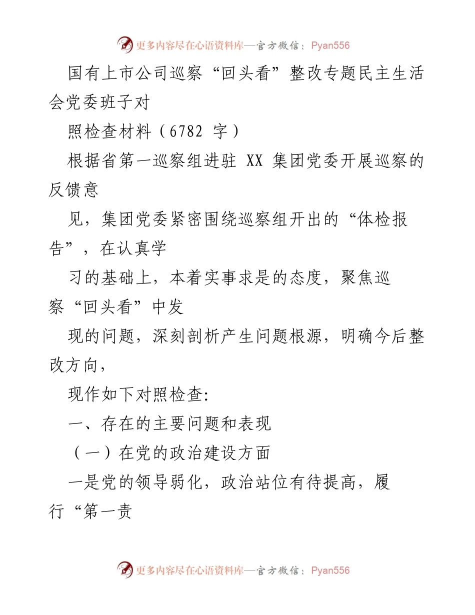 [对照检查材料] 巡察整改会议 - 国有上市公司巡察整改对照检查及问题剖析报告.docx_第1页