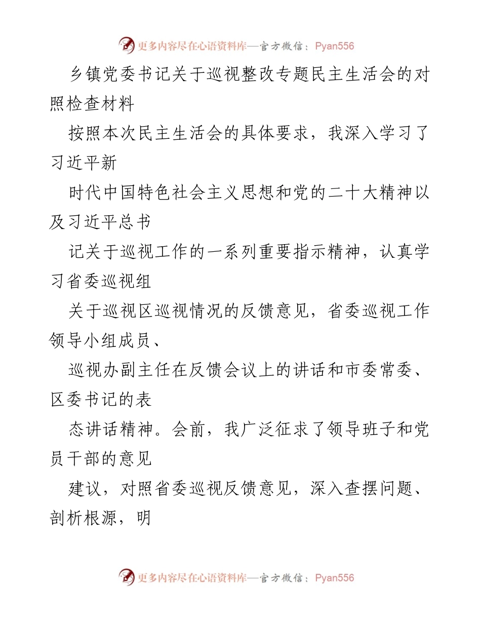 [对照检查报告] 乡镇党委书记 - 巡视整改专题民主生活会对照检查材料.docx_第1页
