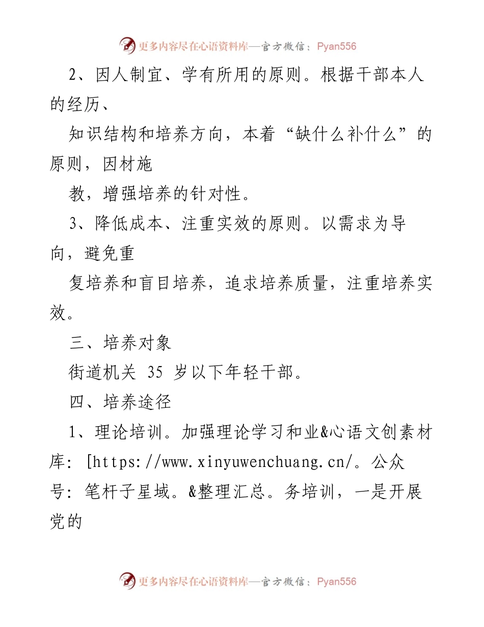[实施方案] 年轻干部培养 - 年轻干部成长工程实施方案.docx_第2页