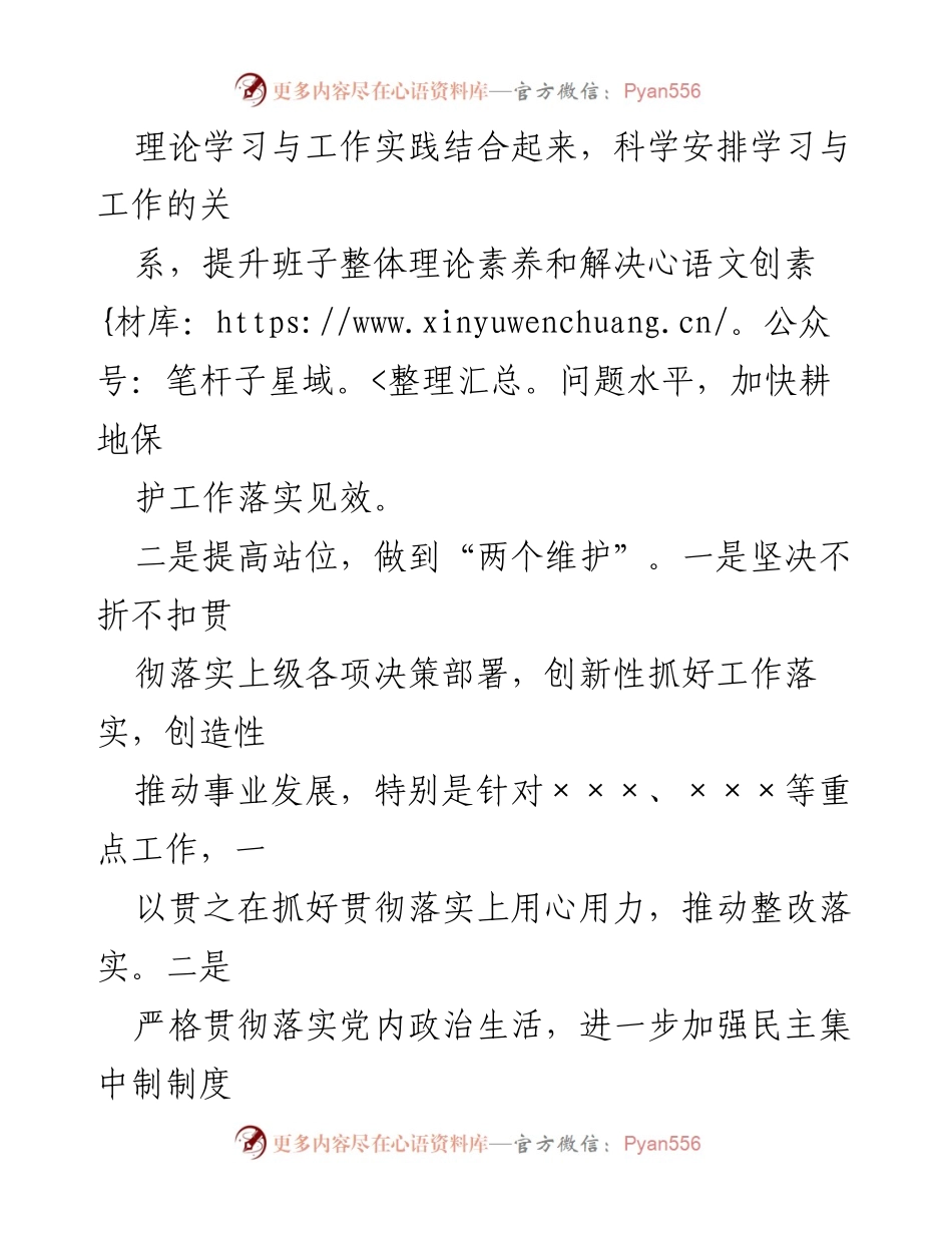 [工作总结] 乡镇主题教育民主生活会 - 乡镇班子整改措施与提升工作落实的策略.docx_第2页