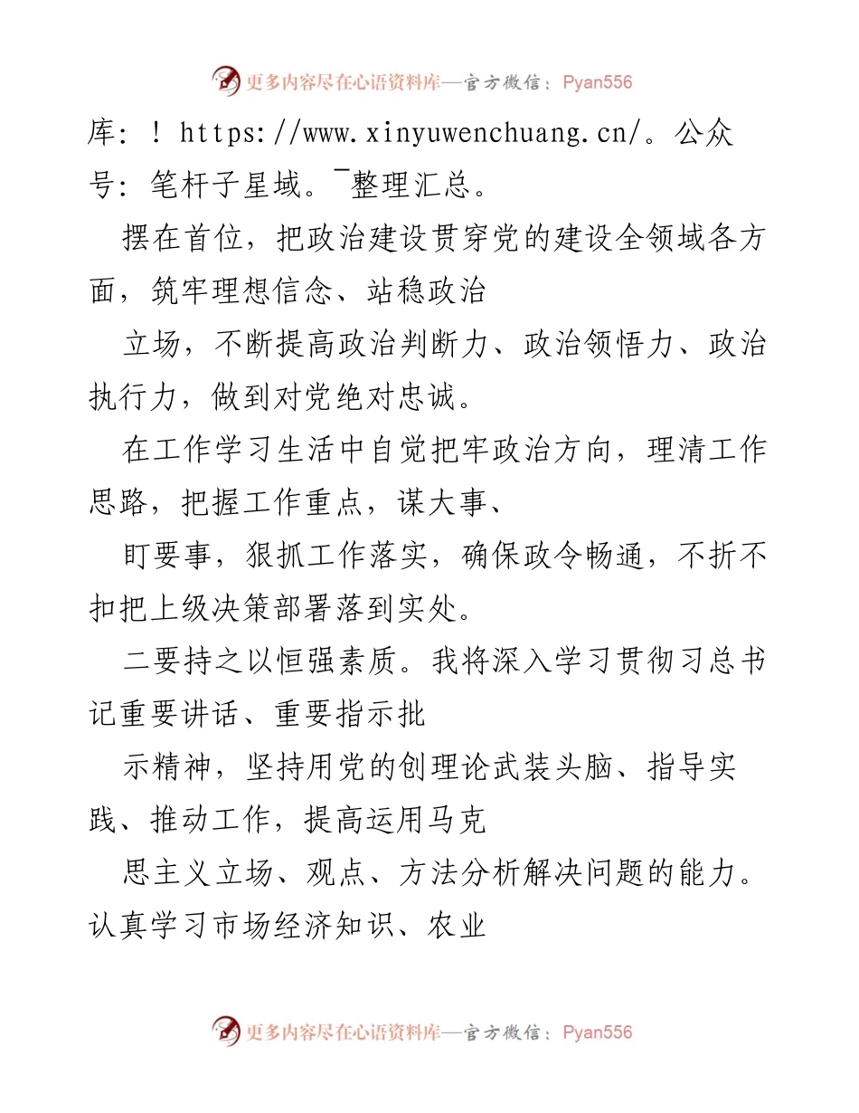 [工作总结] 乡村振兴战略实施 - 坚定信念，推动乡村振兴的实践与发展.docx_第2页