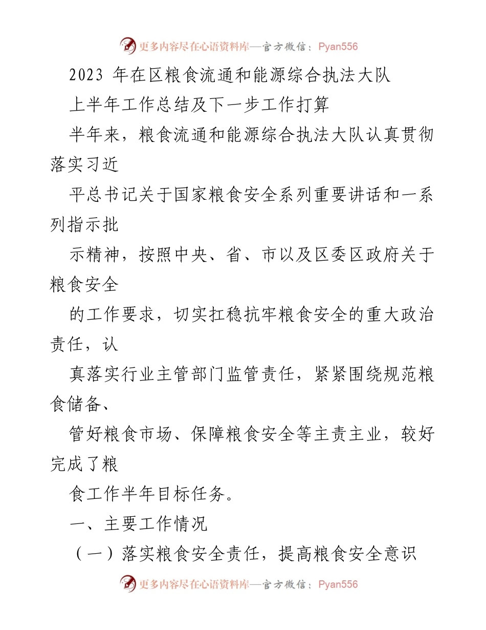 [工作总结] 上半年 - 2023年区粮食流通和能源综合执法大队工作总结及下一步计划.docx_第1页