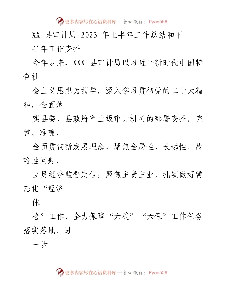[工作总结] XX县审计局 - 2023年上半年工作总结及下半年工作安排.docx_第1页