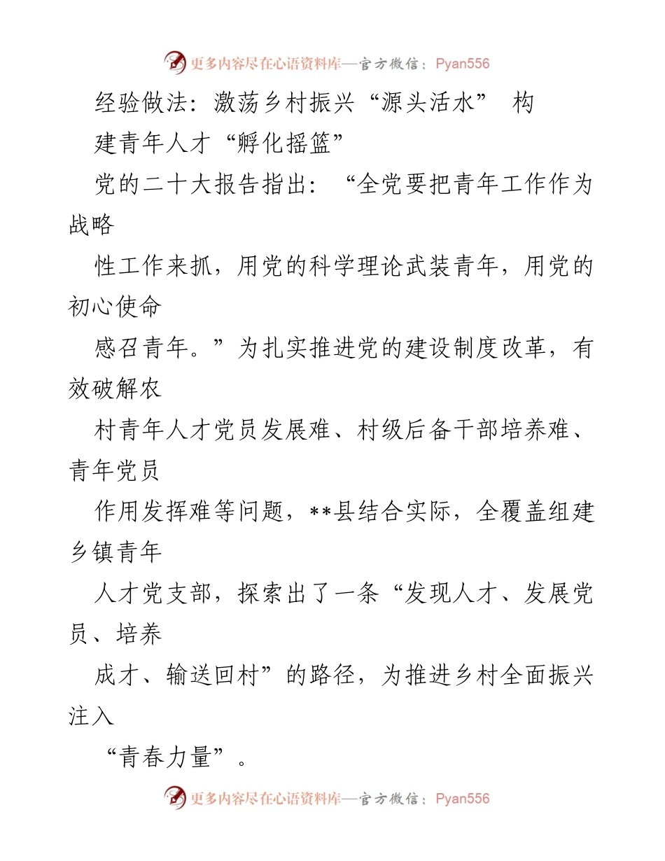 [工作总结] 乡村振兴 - 激发青年力量：构建乡镇青年人才党支部的经验做法.docx_第1页