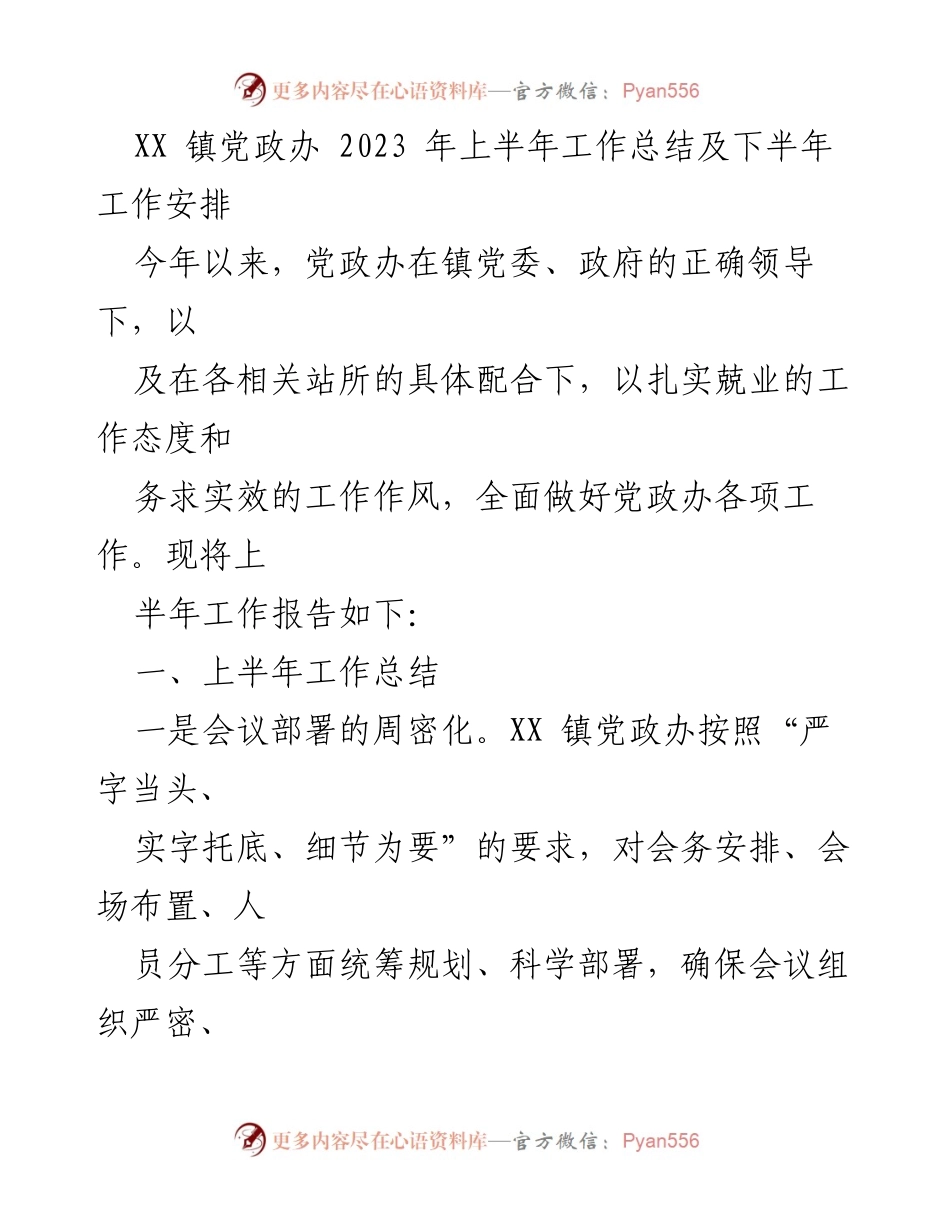 [工作总结] XX镇党政办 - 2023年上半年工作总结及下半年工作安排_1.docx_第1页