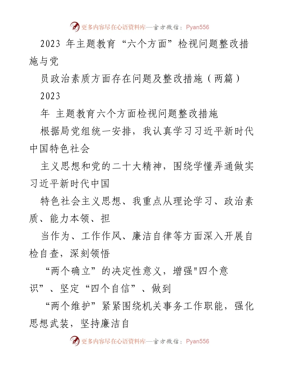 [工作总结] 主题教育 - 2023年主题教育检视问题整改措施总结.docx_第1页