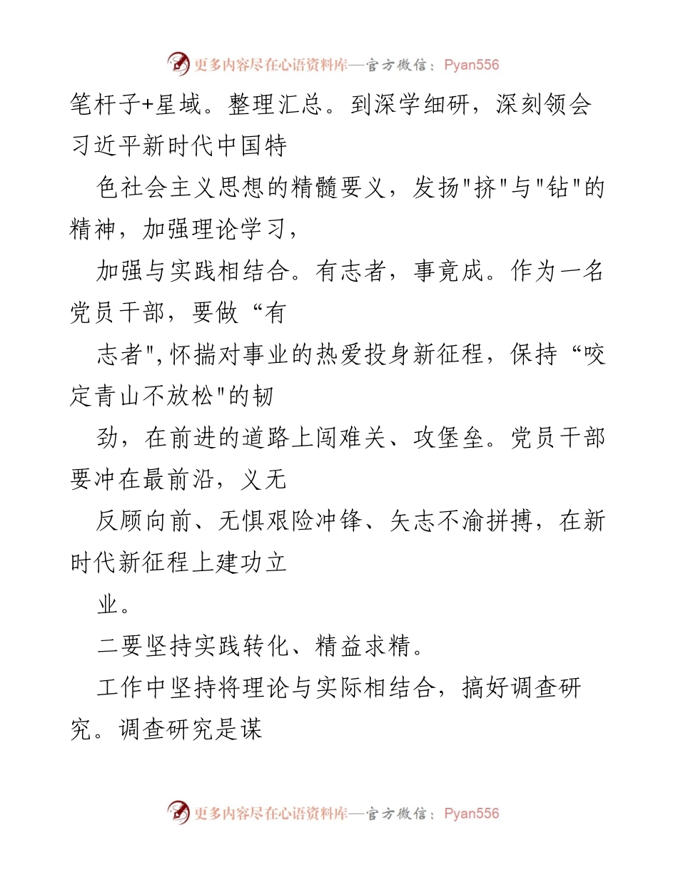 [工作总结] 主题教育 - 坚定信念与实践转化：第二批主题教育个人工作报告.docx_第2页