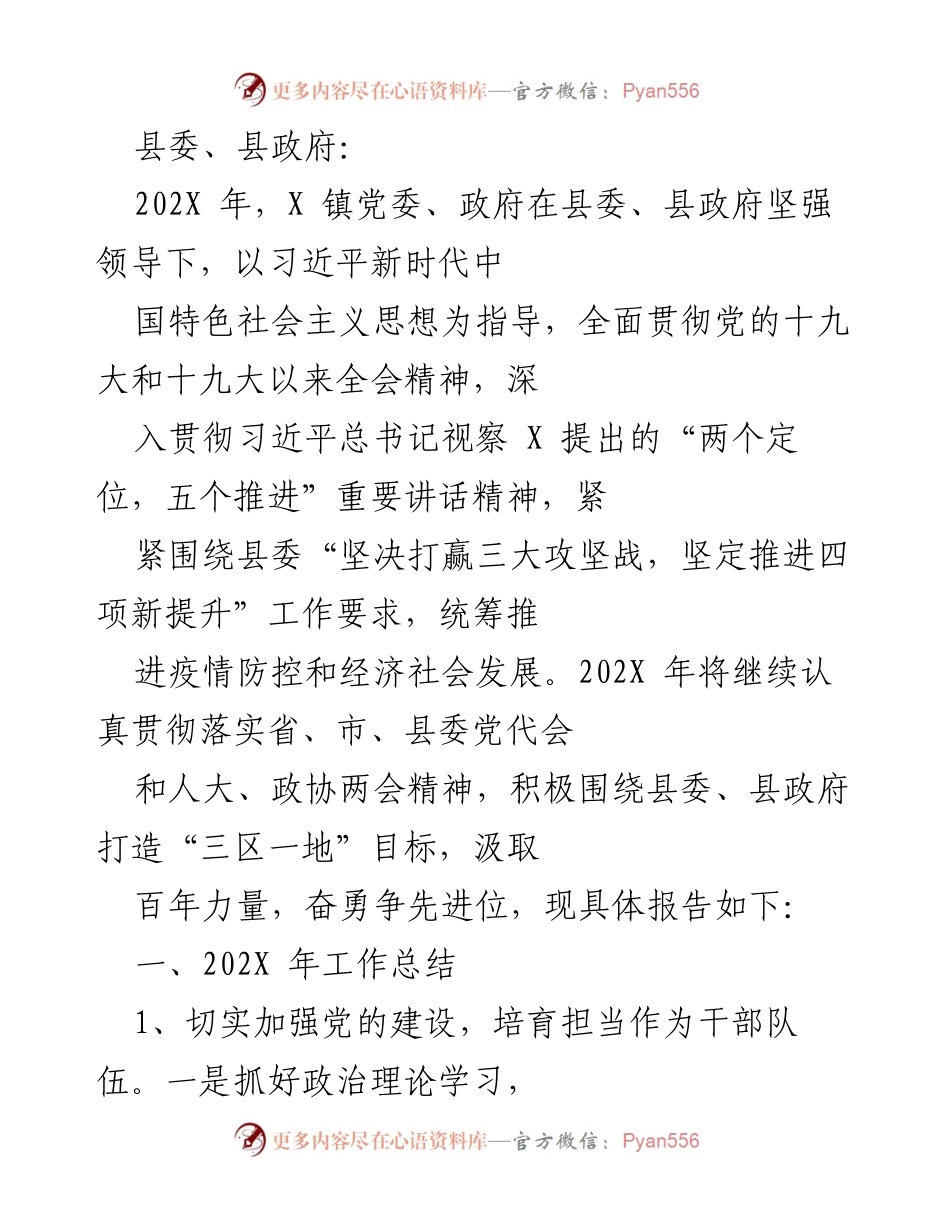 [工作总结] X 镇党委、政府 - 202X年工作总结与党建成效报告.docx_第1页